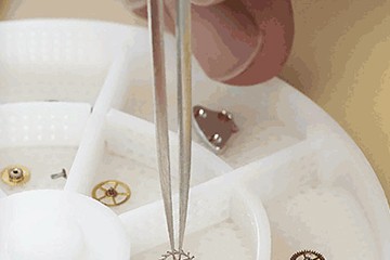 泉州劳力士名表售后维修点地址